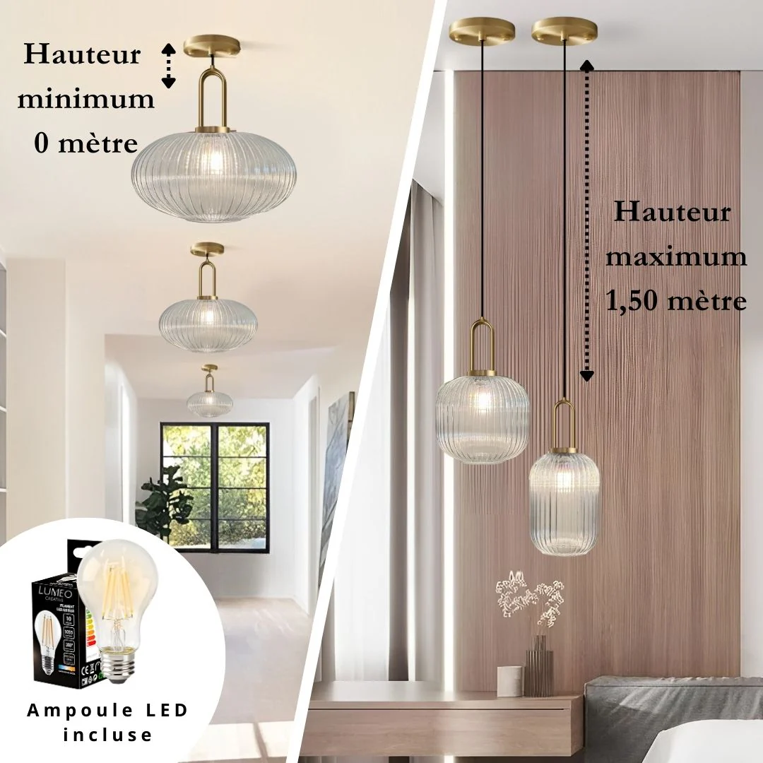 Image du produit 13